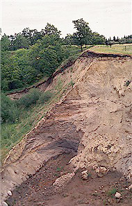 Cut in an esker near Homme Dam